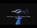 Rang Morla ( Chill Out ) Slowed+ Reverb -  DWorld Music