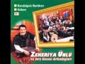 Zekeriya Ünlü - Zeytin Yaprağı Yeşil