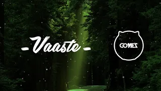 Vaaste (Gomez Lx Remix)