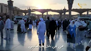 استعد للعمرة مع قصيدة هلا بزوار ابو القاسم وحيهم  استعد للعمرة مع قصيدة هلا بزوار ابو القاسم وحيهم