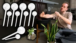 10-Pack Plant Watering Globes Review - Automatic Self Watering Bulbs for Indoor Outdoor