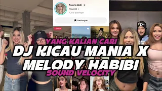 dj kicau mania x melody habibi dj kicau mania gaspol dangak remix full bass jedag jedug viral 2026