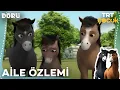 Doru Aile Ozlemi 53 Bolum
