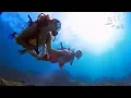 Download Lagu Cartoon - On \u0026 On feat. Daniel Lev [Official Music Video]