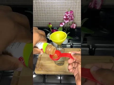 Solución DIY para mantener a las mascotas alejadas