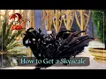 How to Get a Skyscale in 2025 Secrets of the Obscure Guild Wars 2