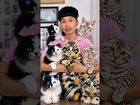 Semua punya kucing #shortvideo #kucinglucu #cat #funny #lucu #trendingshorts