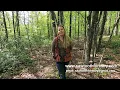 Forest Management Plans - 1