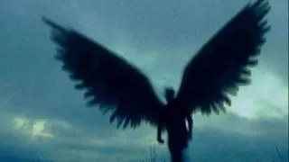 تراك أبن متناكة 