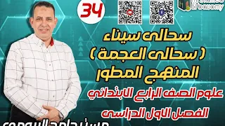 سحالي سيناء سحالي العجمة الزرقاء علوم الصف الرابع الجديد مستر حامد البيومى 