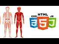 Introduction to HTML CSS Javascript How websites work Web Development Lecture