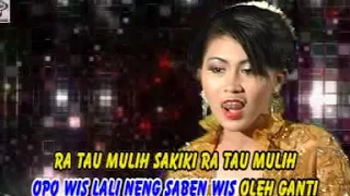 Download Anggi - Ora Tau Mulih [Official Music Video] MP3