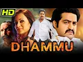 Lagu Dhammu (Dammu) South Superhit Action Movie | Jr. NTR, Trisha Krishnan, Karthika Nair, Brahmanandam
