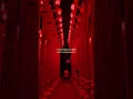 Download Lagu DIA DELÍCIA - Nakama | lyrics | aesthetic | whatsapp Status | English songs | slowed | phonk #phonk