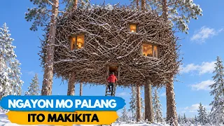 15 Kakaibang Bahay na inilagay sa itaas ng Puno!