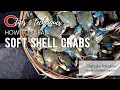 How to Clean a Soft Shell Crabs Chef Luke Palladino
