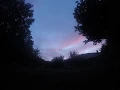 timelapse atardecer entre arboles 2019