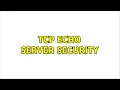 TCP echo server security