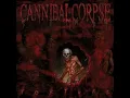 Scourge of Iron-Cannibal Corpse