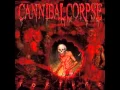 Download Lagu Scourge of Iron-Cannibal Corpse