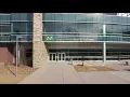 A Look Inside the Translational Medicine Institute at Colorado State University