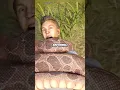 How to Escape Python Attack