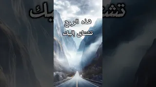 هذه الروح لك تشتاق 