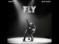 FLY