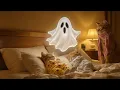 Download Lagu Kittens Dream of a Ghost and Wet Themselves, Then Mama Cat Wakes Them Up 🐾💤👻
