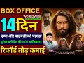 Lagu Dhurandhar Box Office Collection, Ranveer Singh, Akhanda 2, Dhurandhar 12th Day Collection Worldwide