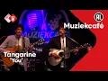 Download Lagu Tangarine - You | NPO Radio 2