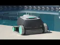 Watch the Dolphin Advantage in Action