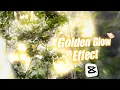 Golden Glow Effect Capcut