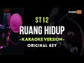 Download Lagu ST12 - Ruang Hidup ( Karaoke Version )