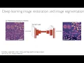 Automating machine learning segmentation and restoration in ImageJ Fiji