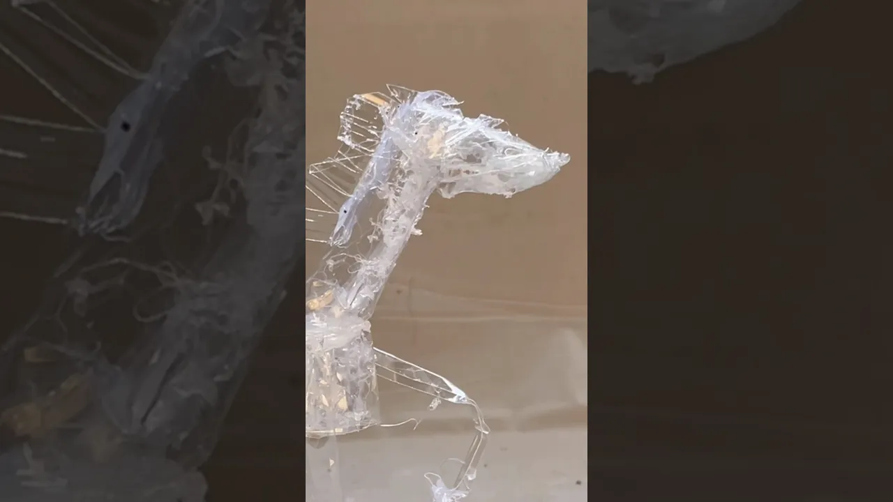 驚きのアイデアがいっぱい!ペットボトルを使っておもちゃをつくろう!