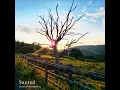 Sacred - Dylan John Sparkes