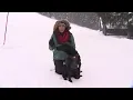 Avalanche Rescue Dog Training