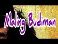 Download Lagu Maling Budiman,Menjadi Inspirasi [No Commercial] - Iwan Fals