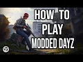 Running Day Z Mods with DZSA Launcher
