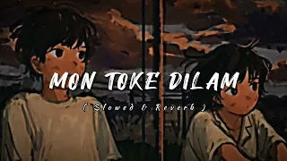 mon toke dilam lofi song slowed and reverb song