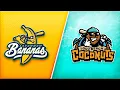 Savannah Bananas vs Loco Beach Coconuts at Minneapolis Twins Stadium in Minnesota Game 2