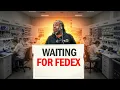 FedEx Ruined My Day Road to 100K