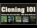 Cloning 101 with Devin - Dirty Bird Genetics
