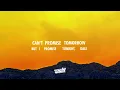 Pitbull - Give Me Everything (Lyrics) ft. Ne-Yo, Afrojack, Nayer (432Hz)