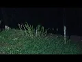 Download Lagu IDOS MISTERI mendatangi senopati
