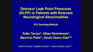 ICS 2014 Workshop 16 part 1 - School of Urodynamics Teaching Modules