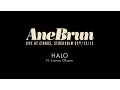 Ane Brun \