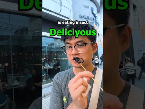 Is Eating Insect Deliciyous?!