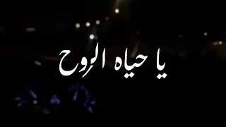 يا حياة الروح فضل شاكر بدون موسيقى 